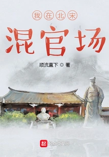 I Was in Officialdom in the Northern Song Dynasty