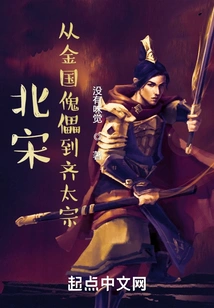 Northern Song Dynasty: from Jin Puppet to Qi Taizong