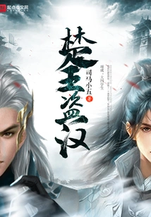 The King of Chu Robbed the Han