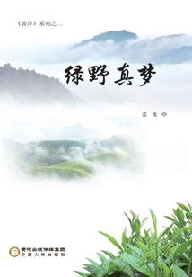 True Dream of Green Field