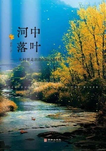 Fallen Leaves in the River: an International Barrister Who Emerged from the Village