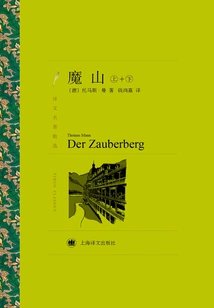 The Magic Mountain (set of Volumes 1 and 2) (selected Translations of Classics)