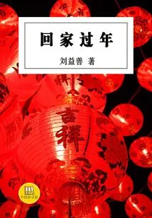 Go Home for the New Year (good Chinese Novel)
