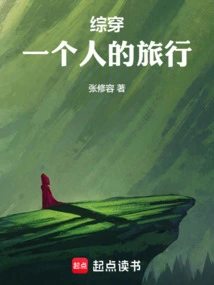 Summary: a Solo Journey