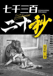 Seven Thousand Three Hundred and Twenty Seconds