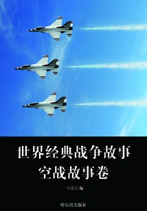 World Classic War Stories (aerial Combat Stories Vol.)