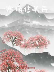 Winter Plum Blossoms Bloom on Branches