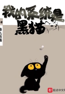 My System is Black Cat