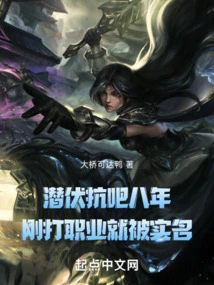 I Have Been Hiding in the Anti-bar for Eight Years, and I Was Real-named Just after I Started Playing Professionally