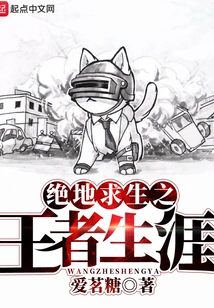 Playerunknown's Battlegrounds King Career