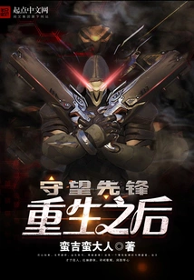 Overwatch: after Rebirth