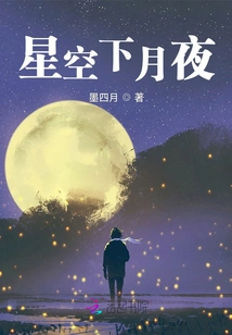 Moonlit Night under Starry Sky