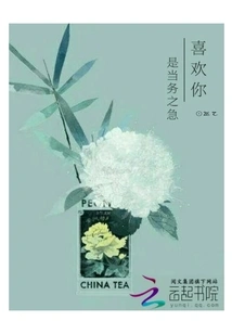 Liking You is a Top Priority