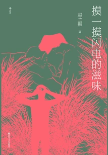 Feel the Taste of Lightning