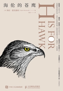 Helen's Goshawk