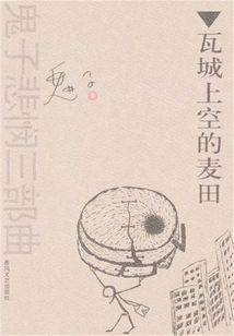 Wheat Fields Above Wa City