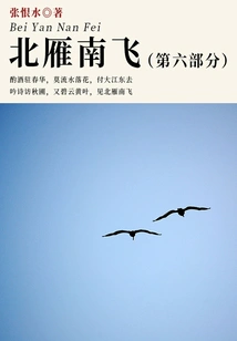 Wild Geese Flying to the South·part 6 (zhang Henshui's Classic Novel)