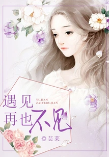 Meet, Never See Again