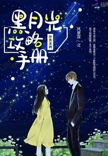 Mr. Ye's Black Moonlight Strategy Manual