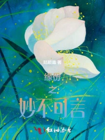 The Wonderful Fate is Beyond Words