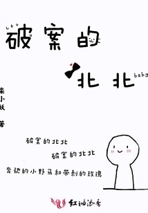 Beibei Who Solved the Case