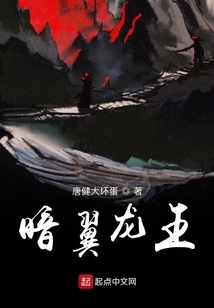 Dark Winged Dragon King