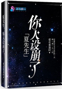 Mr. Xia's Character Collapsed