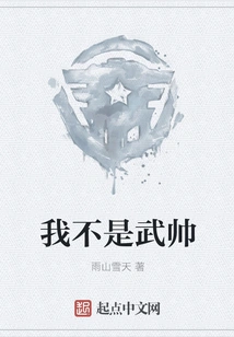 I'm Not a Military Commander