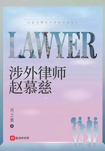 Foreign Lawyer Zhao Muchi