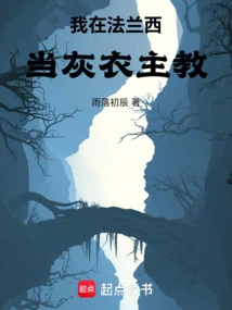 I'm a Gray Cardinal in France