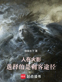 If You Are in Hokage, You Choose the Path of Assassin