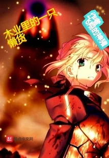 A Lazy Guy in Konoha