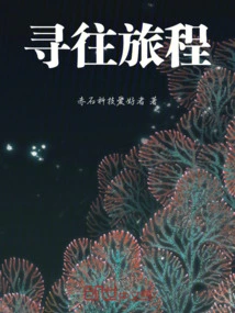 Looking for the Journey