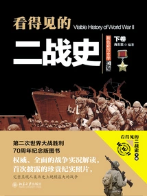 The Visible History of World War Ii (volume 2)