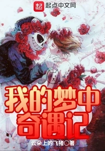 Adventures in My Dreams