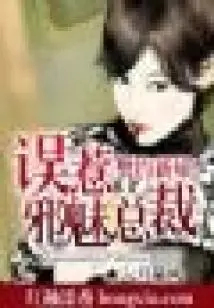 Mistakenly Provoked the President (finale)