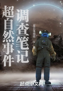 Paranormal Incident Investigation Notes