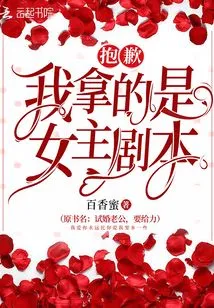 Sorry, I Got the Heroine Script