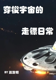 The Daily Life of a Dart Traveling Through the Universe