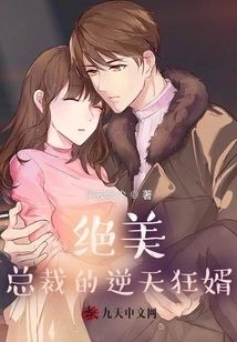 The Handsome Ceo's Crazy Son-in-law