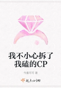 I Accidentally Dismantled the Cp I Was Knocking On