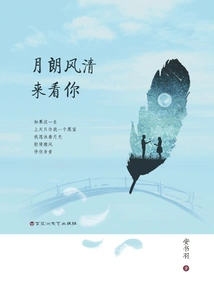 The Moon is Bright and the Wind is Clear to See You