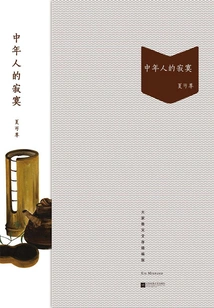 Loneliness of Middle-aged People