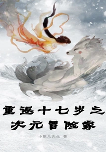 Dimensional Adventurer Who Returns to the Age of Seventeen