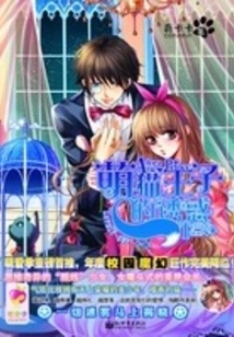 The Temptation of the Cute Cat Prince