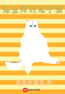 Alchemist's Assistant Cat