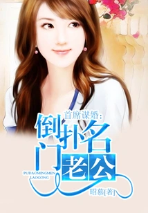 Chief Marriage Planner: Knock Down the Famous Husband