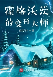 Master of Transfiguration at Hogwarts