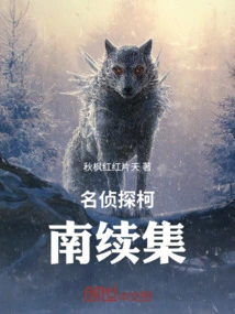 Detective Conan Sequel