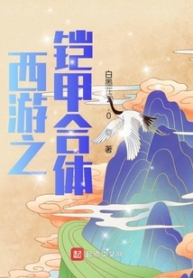 Journey to the West: Armor Combination